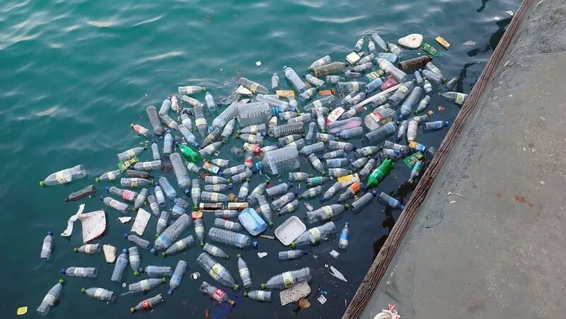 码头附近海面漂浮的塑料瓶