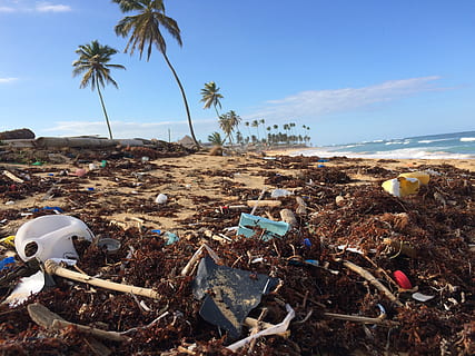 Plastic pollution scattered along a tropical beach with palm trees and ocean in the background